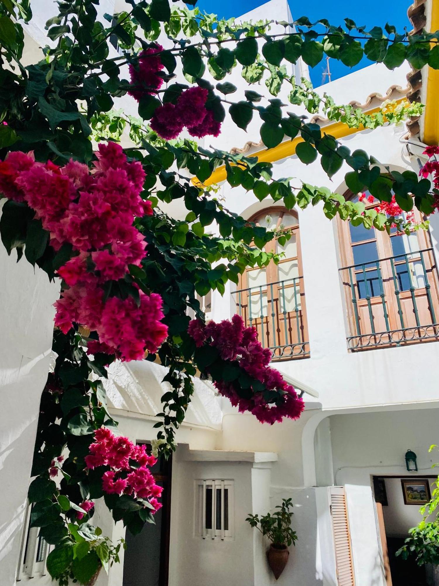 شقة Tarifa Townhouse المظهر الخارجي الصورة